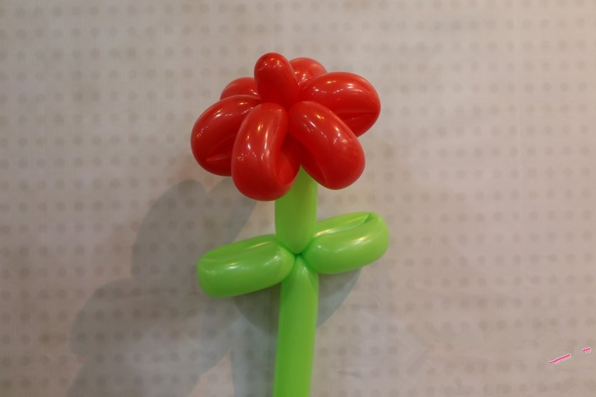 如何用魔术气球制作花朵-长条气球编制教程
